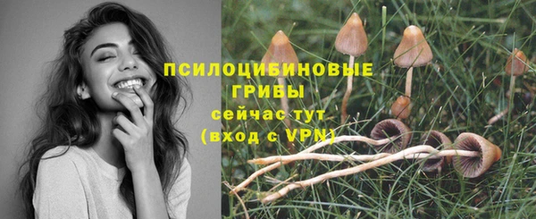 героин Абаза