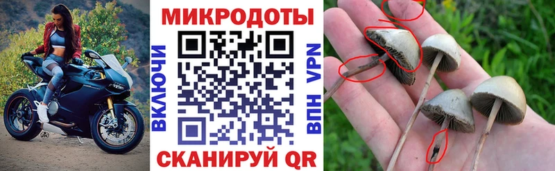 Псилоцибиновые грибы GOLDEN TEACHER  Ивангород 