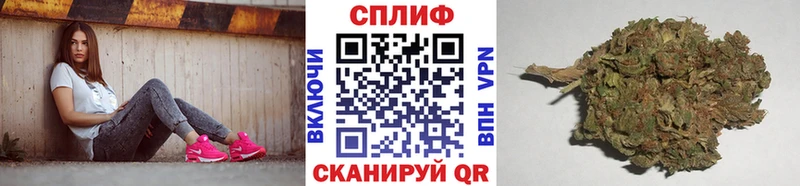 МЕГА вход  маркетплейс официальный сайт  Конопля индика  Ивангород 